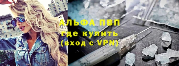 сатива Корсаков