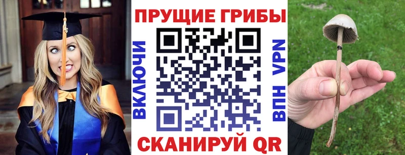 omg сайт  Каменск-Шахтинский  Псилоцибиновые грибы MAGIC MUSHROOMS 